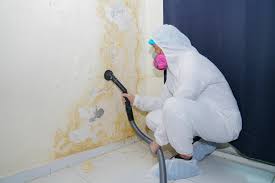 Best Post-Construction Mold Inspection  in Ogdensburg, NJ